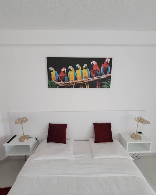 Hello Guyane, Suite Collection Каєнна Екстер'єр фото